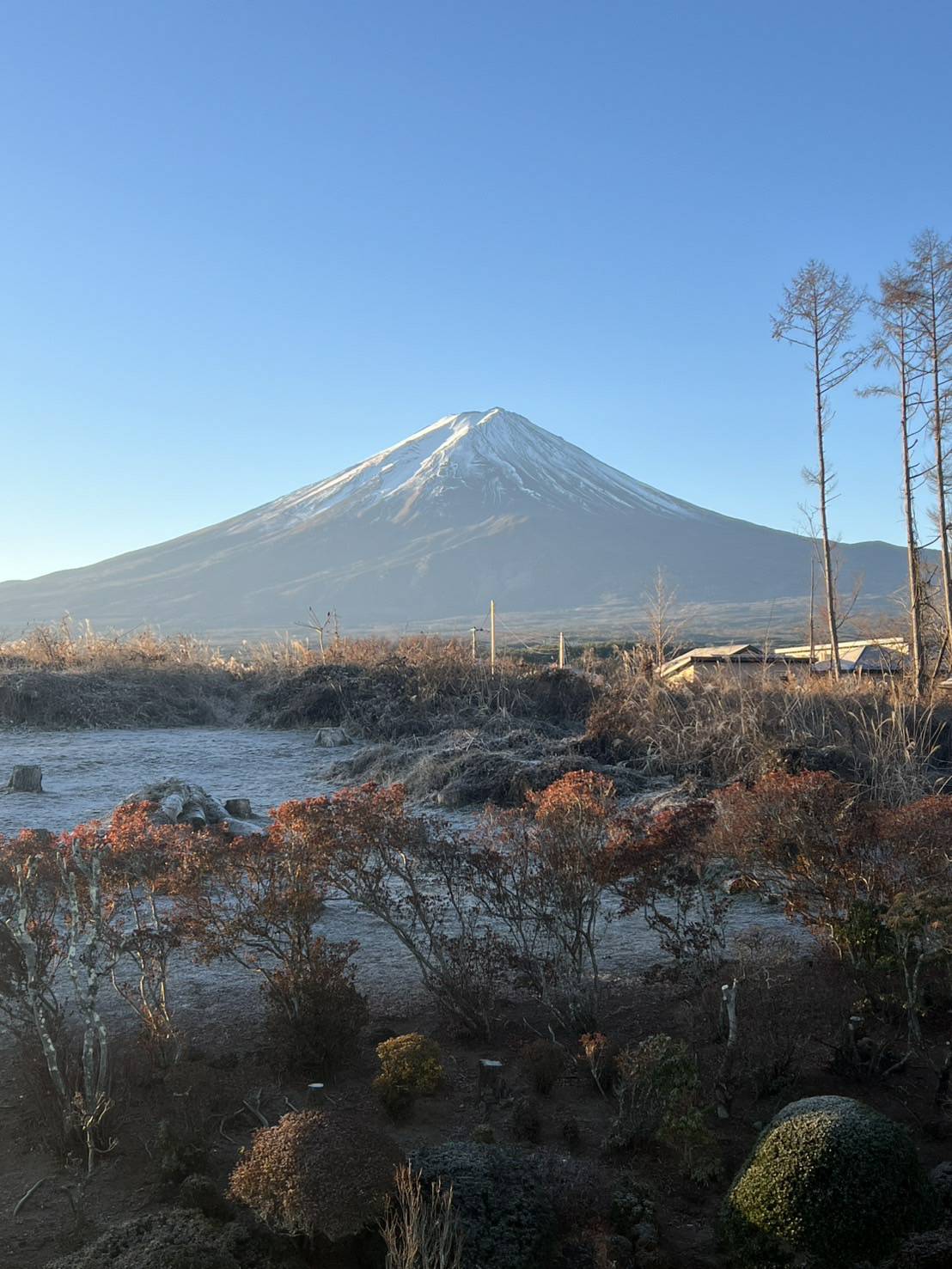 2025年 新年のご挨拶 富士山