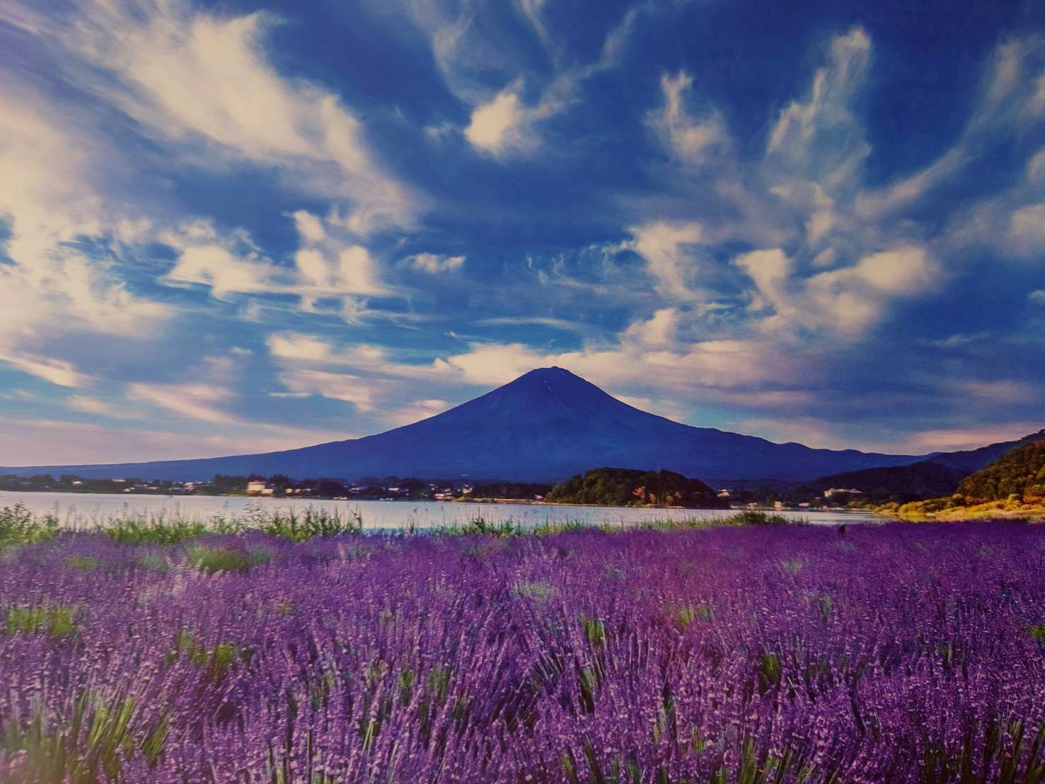 富士山